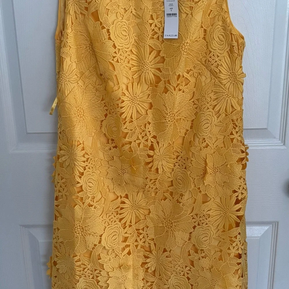 NWT WHBM Lace shift dress 6 Spring Easter Parade Lace Boho HAPPY Chic Bohemian - Picture 2 of 10